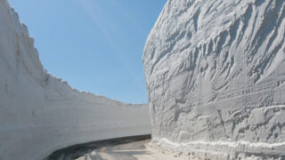 【蔵王町】バスツアー限定『蔵王エコーライン 雪の壁ウォーク』、2026年は4月10-13日にかけて開催予定。