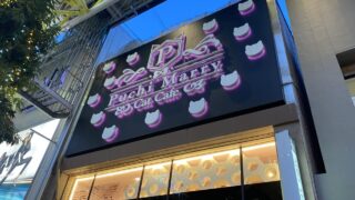 【青葉区】一番町の『猫カフェ ぷちまりー 仙台青葉店』が、2026年8月31日で閉店に。