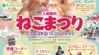 【仙台駅西口】恒例の『ねこまつり』を10月19日に開催！