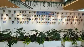 【泉区】『第11回猫自慢写真コンテスト』の投票が、始まっているみたい！ 2月23日まで。