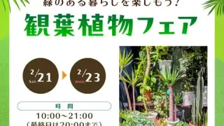【利府町】『アジアナーセリー 観葉植物フェア』を、2月21-23日に開催!