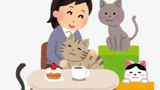 【閉店・仙台駅西口】16年営業、『保護猫カフェ あいきゃっと』が、2026年3月22日をもって閉店に。