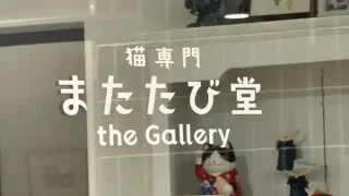 【青葉区】『猫専門またたび堂the Gallery』で『猫写真コンテスト2026』！作品応募は2月22日まで。