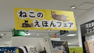 【青葉区】一番町の『ヤマト屋書店』で、『ねこのえほんフェア』を開催してるみたい!