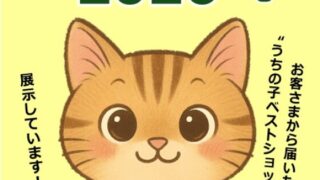 【登米市】イオンタウン佐沼で、『猫ギャラリー2026』を3月15日まで開催!