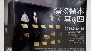 【泉区】泉中央の『アメリー』で、『編物標本 其の四』を3月3-18日開催！