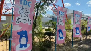 【太白区】『tbc桜まつり2026』を、4月11-12日開催！