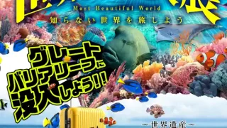 【利府町】『世界絶景没入展-グレートバリアリーフの奇跡』を3月4-8日開催！