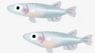 【若林区】『杜の都めだかフェスvol.3』を、5月3日に開催！