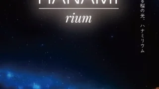 仙台・錦町公園でお花見イベントが初開催されるみたい！