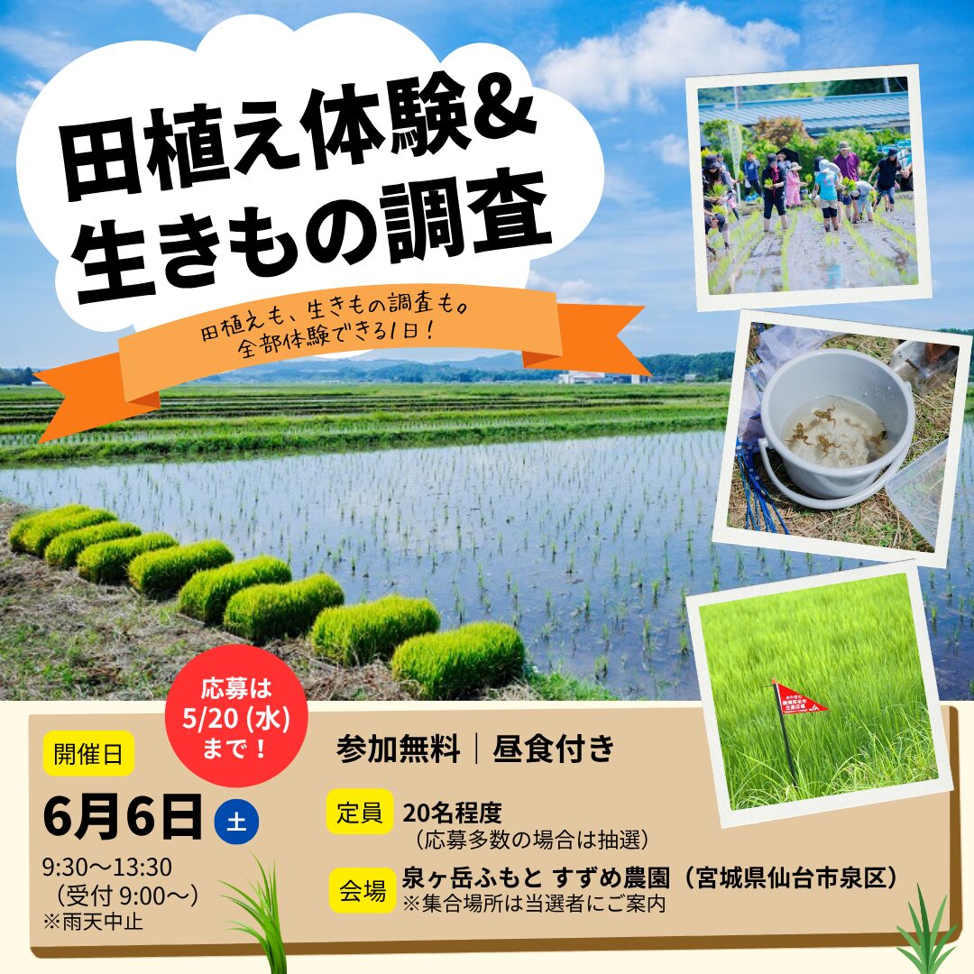 田植え体験