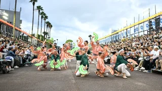 仙台で本場の阿波踊りが見られるみたい。