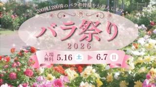【若林区】せんだい農業園芸センターで『バラ祭り2026』!