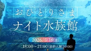【宮城野区】『おひとりさまナイト水族館』を、5月17日に開催!