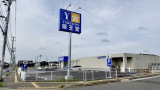 「薬王堂」の新店舗が明日オープンするみたい。