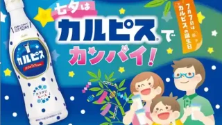 【仙台駅西口】『カルピス サンプリング』、カルピスの誕生日7月7日に開催！