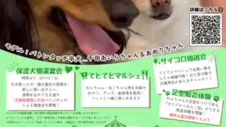 【富谷市】『とみやどわんにゃんDay』を、6月14日に開催！