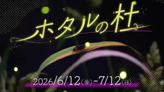 【宮城野区】仙台うみの杜水族館で、特別展示「ホタルの杜」を2026年6月12日〜7月12日に開催！