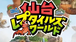 【若林区】爬虫類・小動物の祭典『仙台レプタイルズワールド』を、6月20-21日に開催!