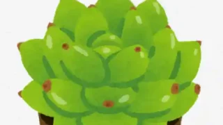 【青葉区】トークネットホール仙台で『多肉植物販売会』を6月23日に開催!
