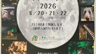 【太白区】八木山動物公園で『ナイトズージアム2026』を、8月20-22日に開催！