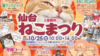 【仙台駅西口】イービーンズで『ねこまつり』、2026年10月25日に。