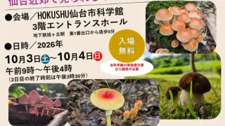 【青葉区】仙台市科学館で『第56回きのこ展』を、2026年10月3-4日開催！
